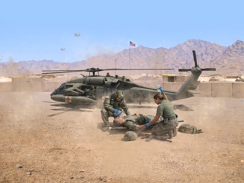 Icm 60a black hawk - icm,